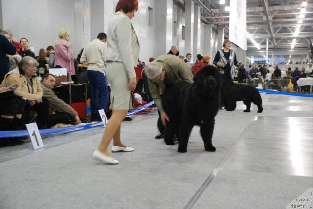 Фотография № 23861