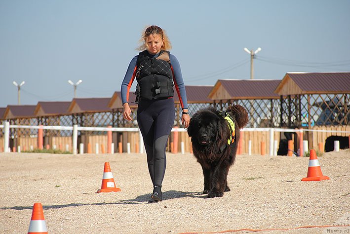 Фотография № 238612