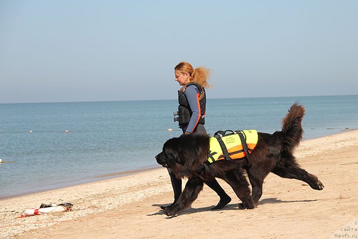 Фотография № 238613