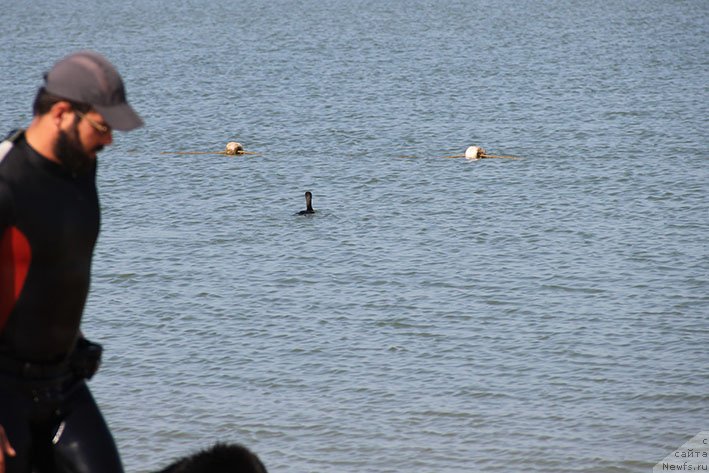 Фотография № 238623