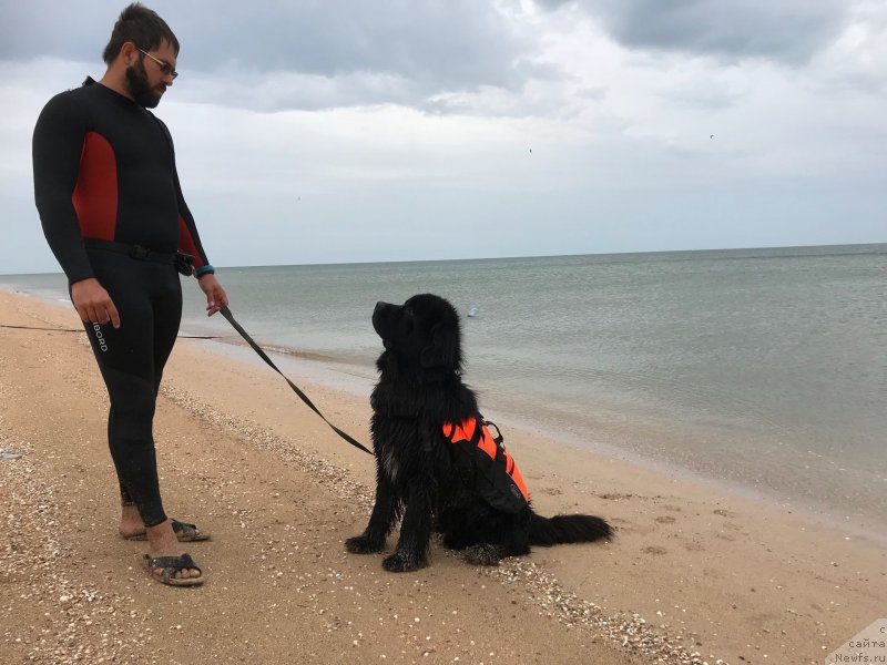 Фотография № 238625