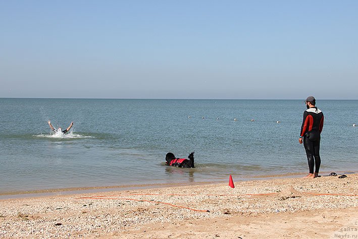 Фотография № 238626