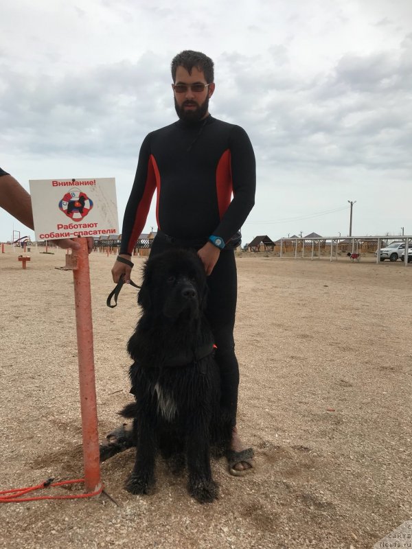 Фотография № 238627