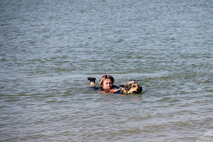 Фотография № 238632