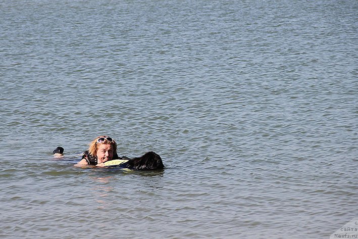 Фотография № 238635