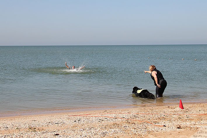 Фотография № 238652