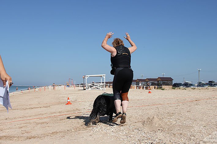 Фотография № 238653