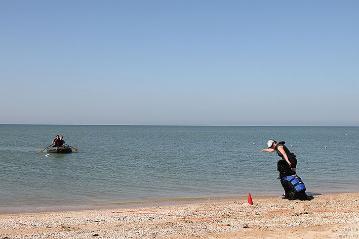 Фотография № 238657