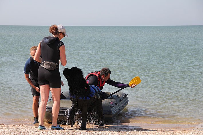 Фотография № 238659