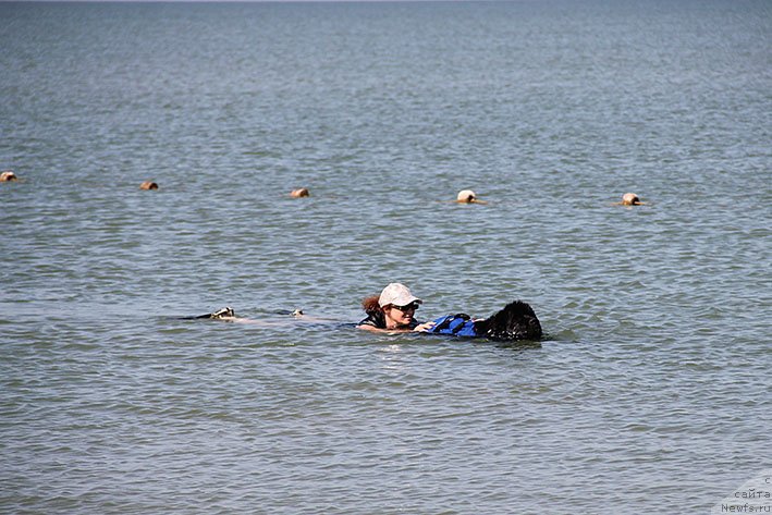 Фотография № 238660