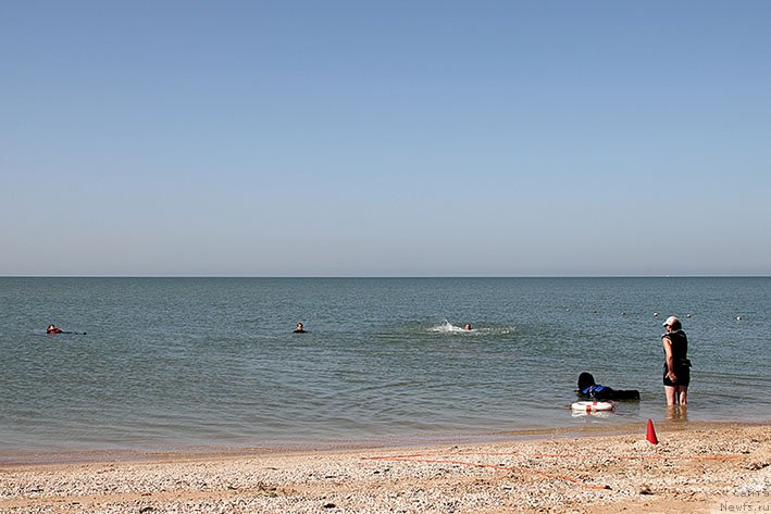 Фотография № 238661