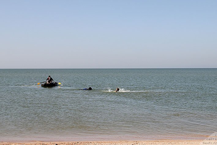 Фотография № 238664