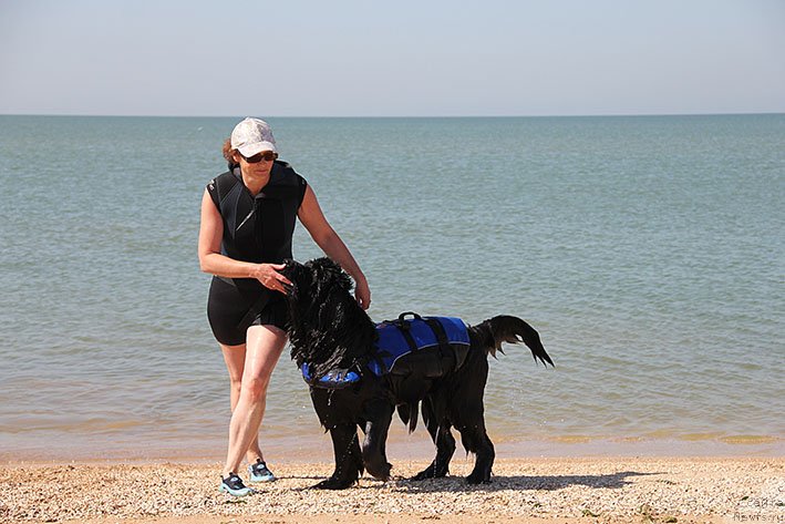 Фотография № 238665