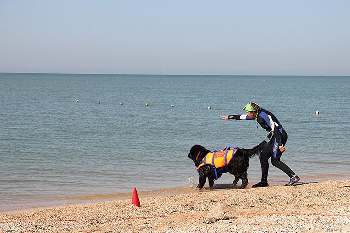 Фотография № 238670