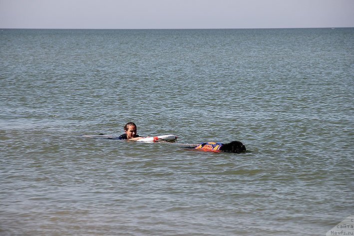 Фотография № 238674