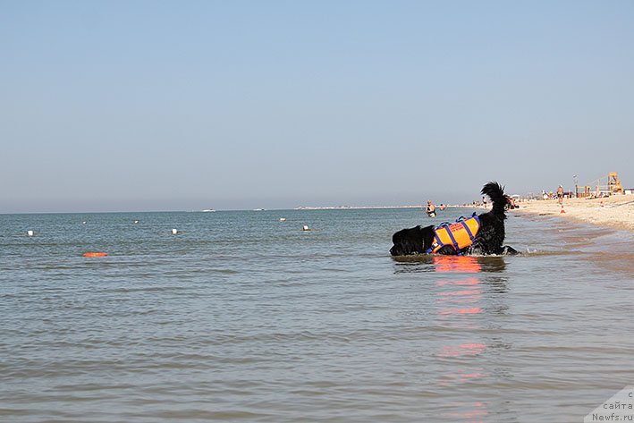 Фотография № 238675