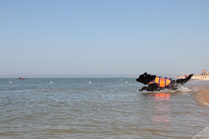 Фотография № 238678