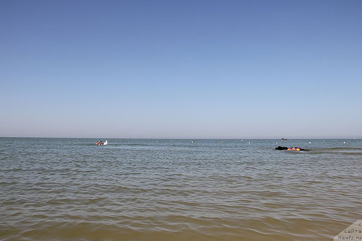 Фотография № 238679