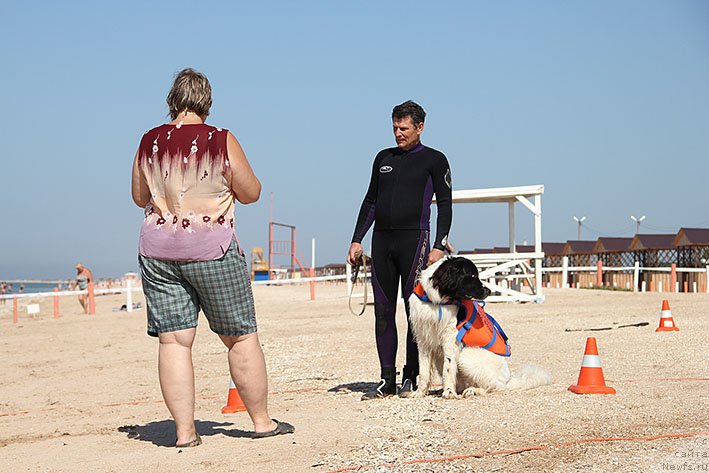 Фотография № 238680