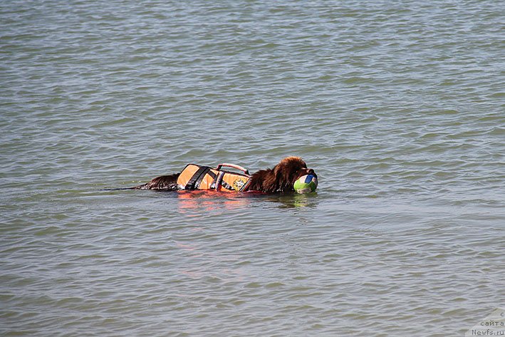 Фотография № 238686