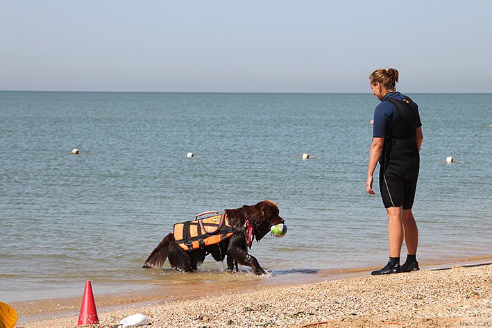 Фотография № 238687