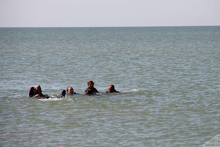 Фотография № 238689