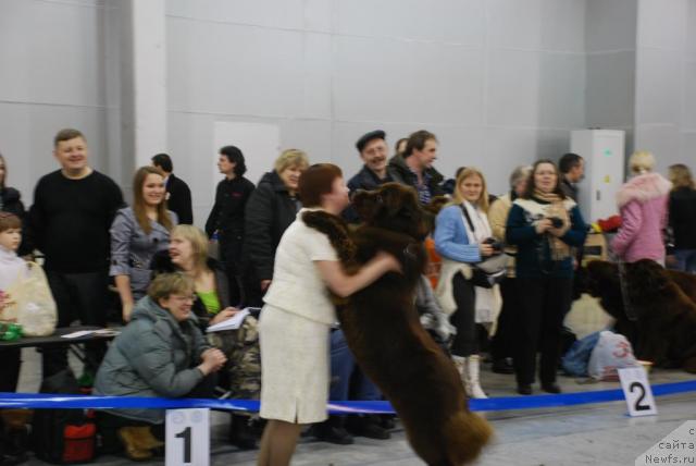 Фотография № 23869