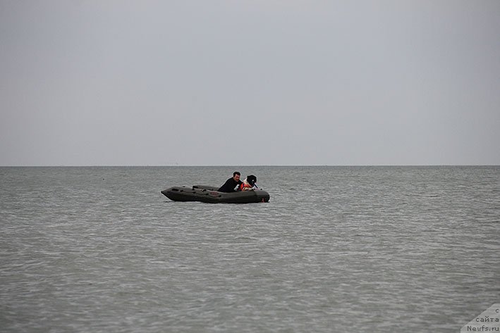 Фотография № 238690