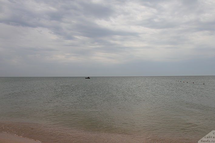 Фотография № 238691