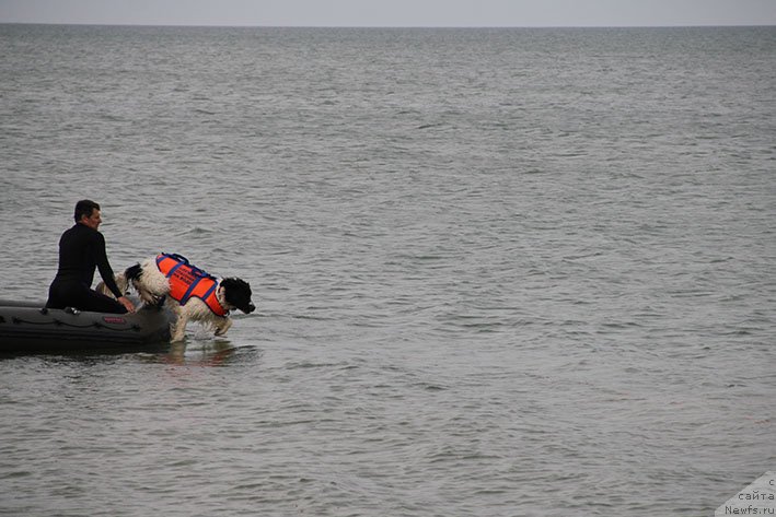 Фотография № 238694