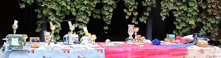 Фотография № 238695