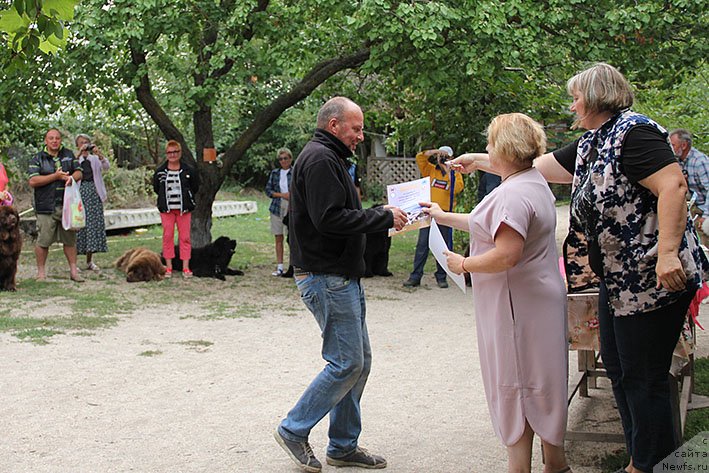 Фотография № 238698