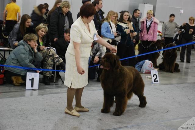 Фотография № 23870