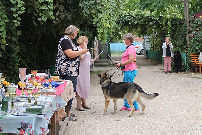 Фотография № 238702