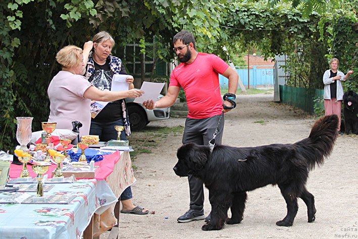 Фотография № 238704