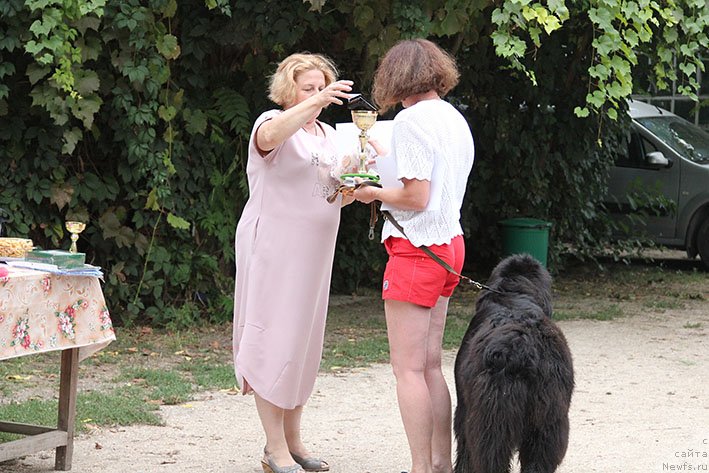 Фотография № 238705