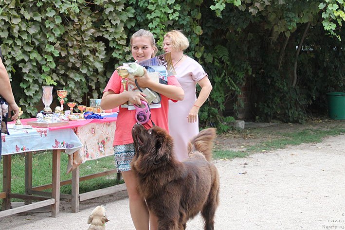 Фотография № 238706