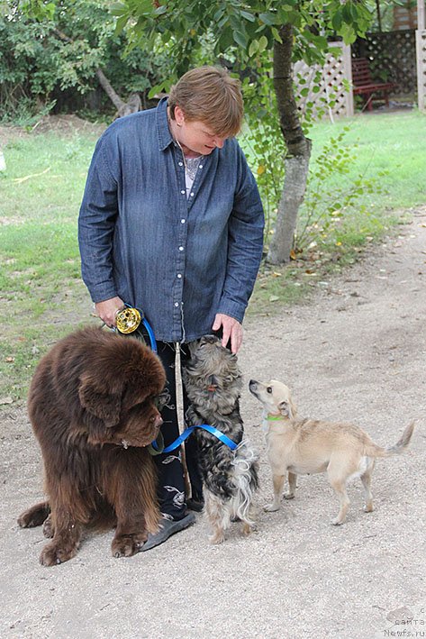 Фотография № 238708