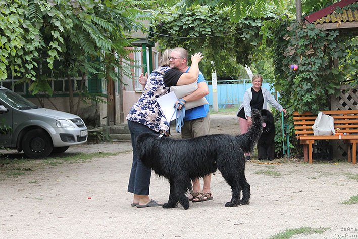 Фотография № 238711