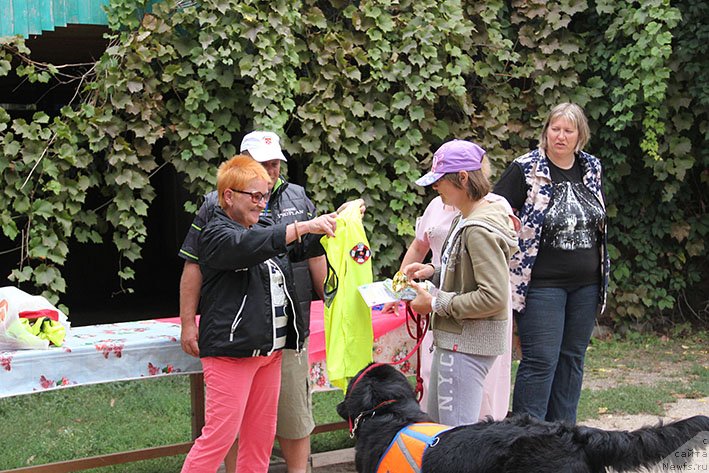 Фотография № 238714