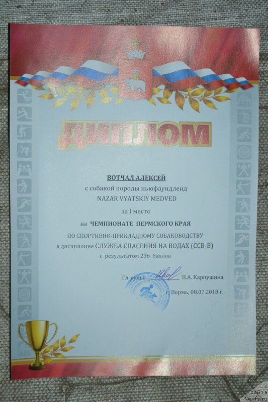 Фото: ньюфаундленд Назар Вятский Медведь (Nazar Vyatskiy Medved)