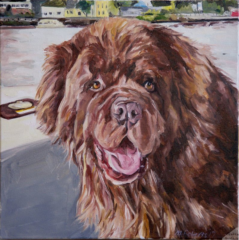 Фотография № 238738