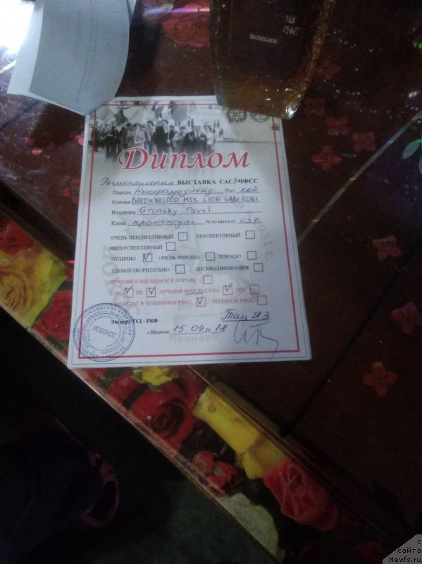 Фотография № 238757