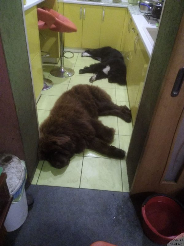 Фотография № 238761