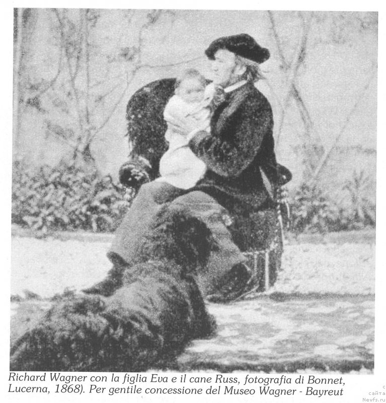 Фотография № 238765