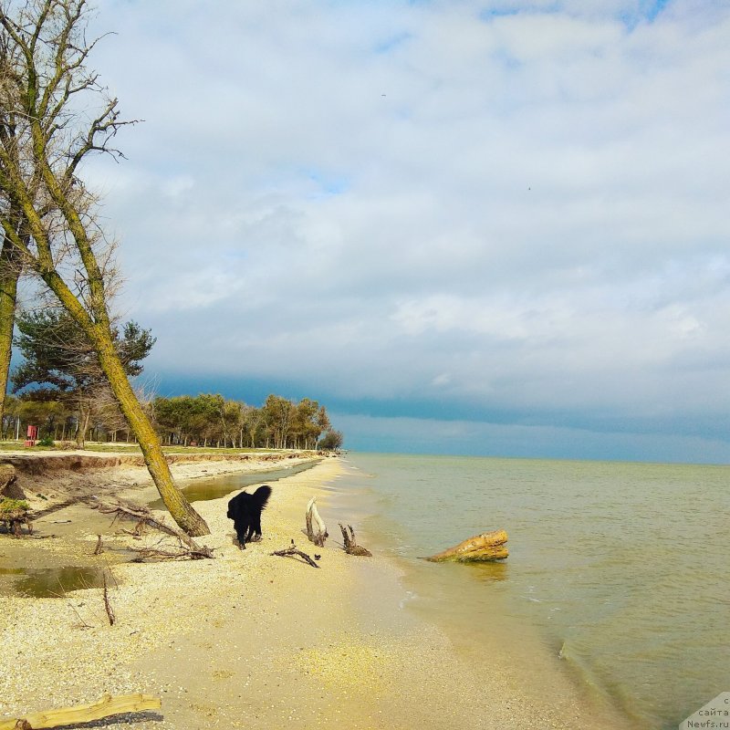 Фотография № 238783