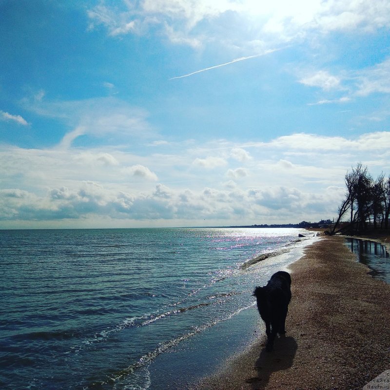 Фотография № 238784