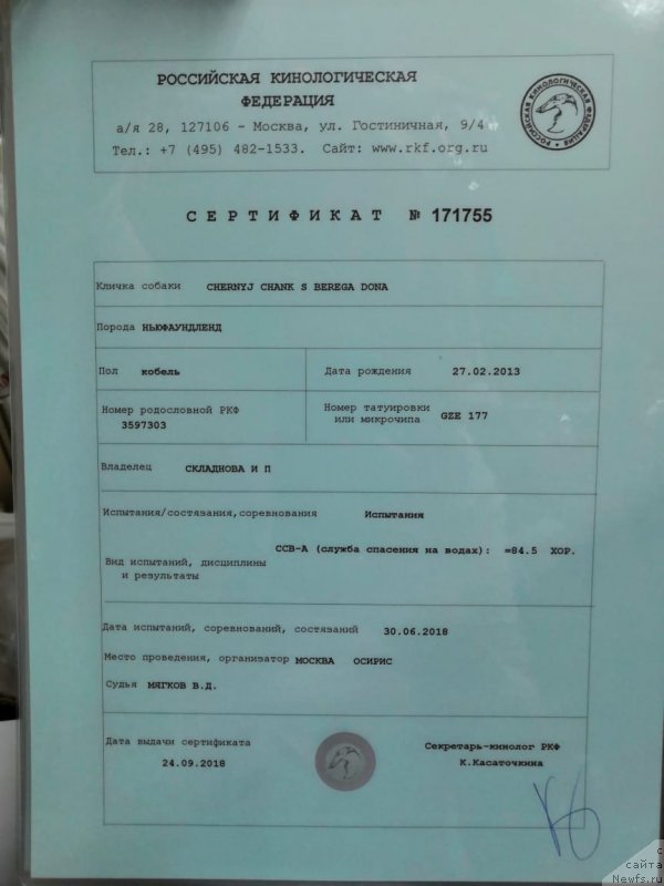 Фотография № 238787