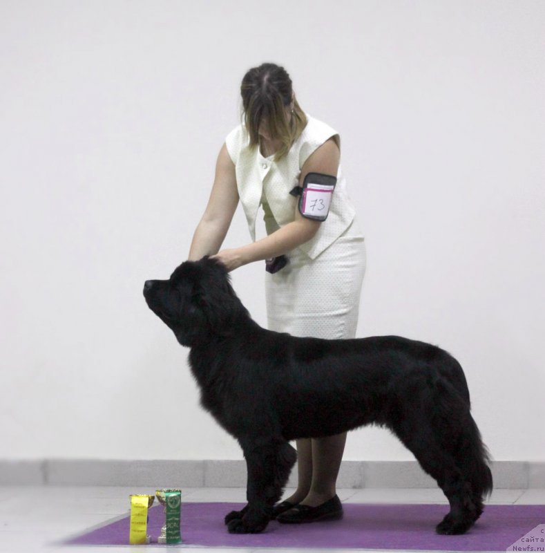 Фотография № 238800