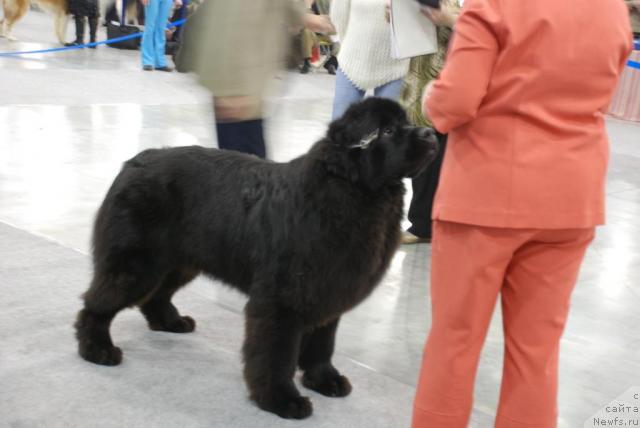 Фотография № 23881